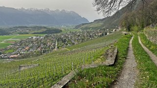 Chemin des vignes - Ollon Rando 2024